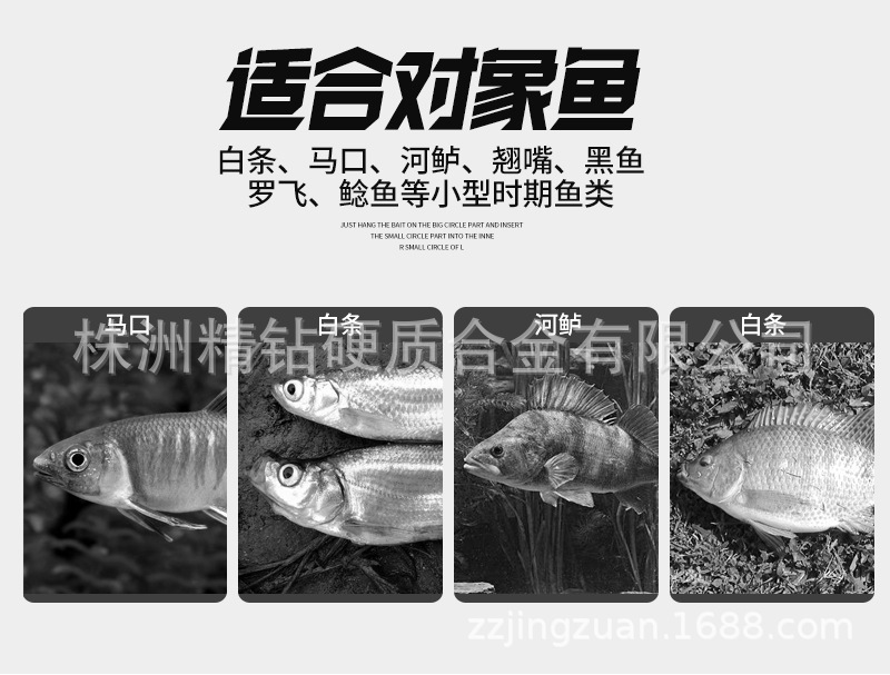 大耳獼猴詳情_03