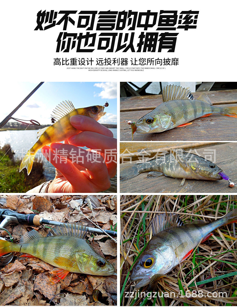 大耳獼猴詳情_04